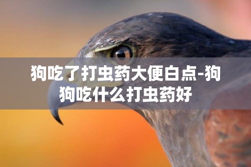 狗吃了打蟲藥大便白點-狗狗吃什么打蟲藥好