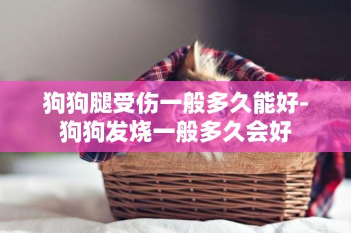 狗狗腿受傷一般多久能好-狗狗發燒一般多久會好