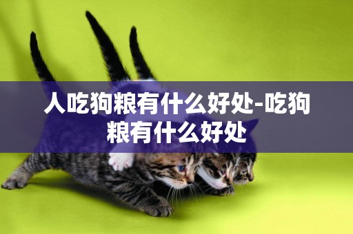 人吃狗糧有什么好處-吃狗糧有什么好處