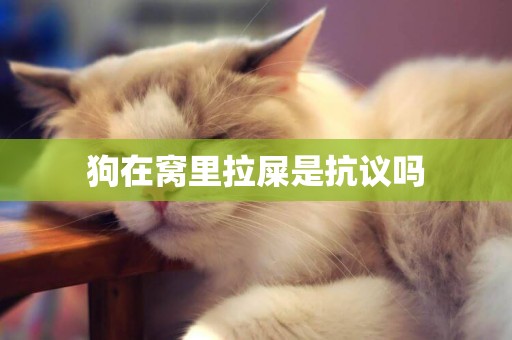 狗在窩里拉屎是抗議嗎