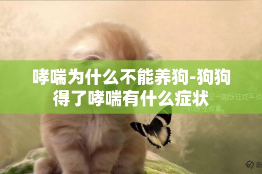 哮喘為什么不能養狗-狗狗得了哮喘有什么癥狀