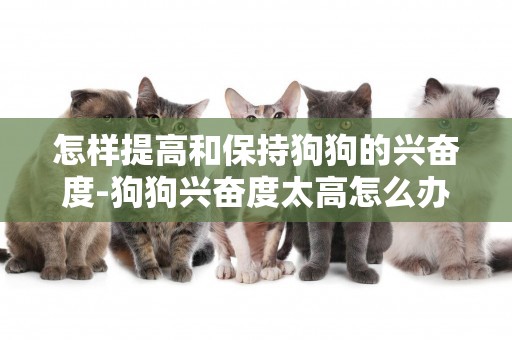 怎樣提高和保持狗狗的興奮度-狗狗興奮度太高怎么辦