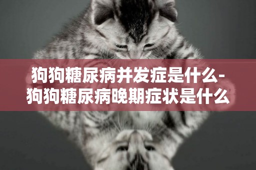 狗狗糖尿病并發癥是什么-狗狗糖尿病晚期癥狀是什么呢