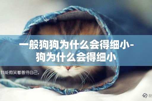 一般狗狗為什么會得細小-狗為什么會得細小