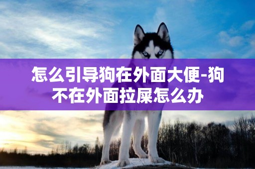 怎么引導狗在外面大便-狗不在外面拉屎怎么辦