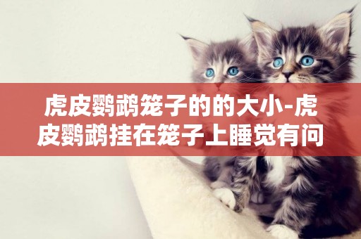 虎皮鸚鵡籠子的的大小-虎皮鸚鵡掛在籠子上睡覺有問題嗎