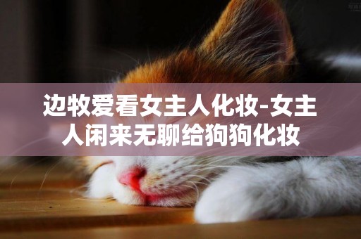 邊牧愛看女主人化妝-女主人閑來無聊給狗狗化妝
