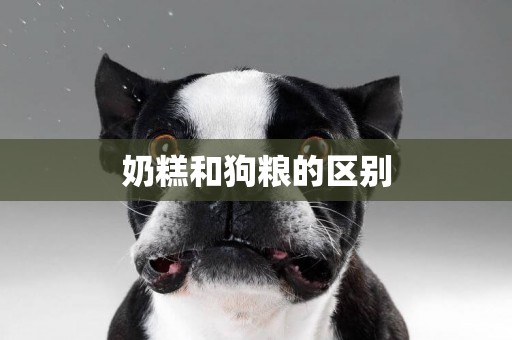 奶糕和狗糧的區別