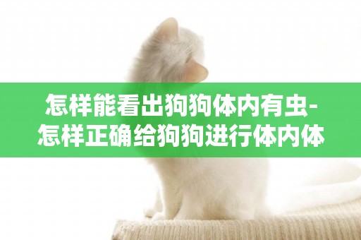 怎樣能看出狗狗體內有蟲-怎樣正確給狗狗進行體內體外驅蟲