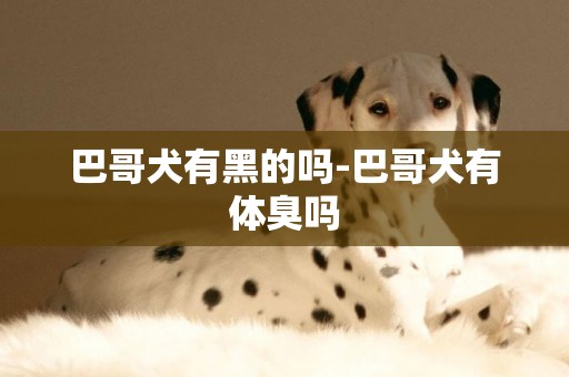 巴哥犬有黑的嗎-巴哥犬有體臭嗎