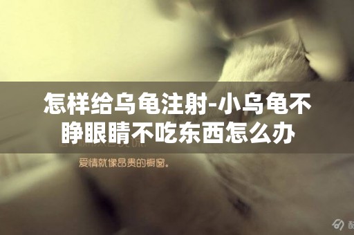 怎樣給烏龜注射-小烏龜不睜眼睛不吃東西怎么辦