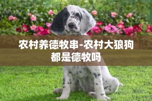 農村養德牧串-農村大狼狗都是德牧嗎