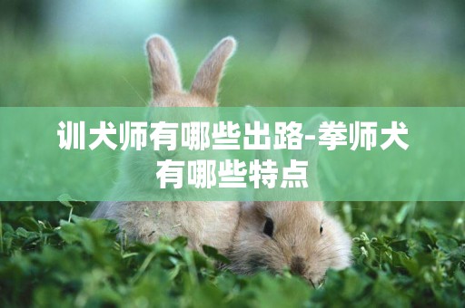 訓犬師有哪些出路-拳師犬有哪些特點
