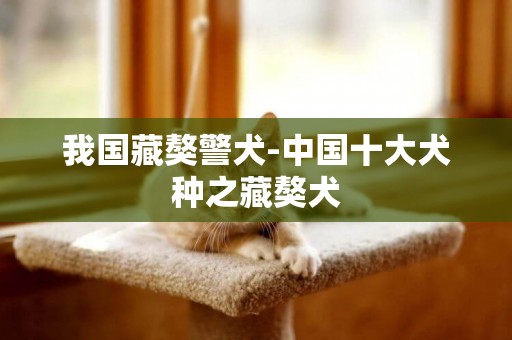 我國藏獒警犬-中國十大犬種之藏獒犬