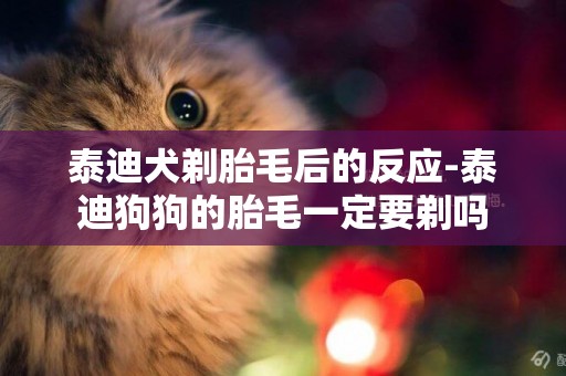 泰迪犬剃胎毛后的反應-泰迪狗狗的胎毛一定要剃嗎