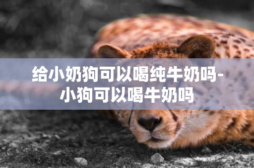 給小奶狗可以喝純牛奶嗎-小狗可以喝牛奶嗎