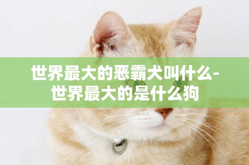 世界最大的惡霸犬叫什么-世界最大的是什么狗