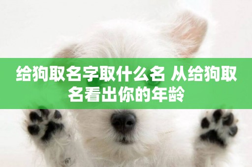 給狗取名字取什么名 從給狗取名看出你的年齡