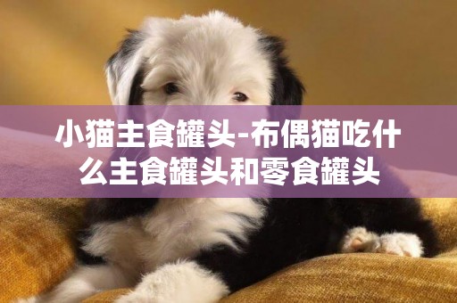 小貓主食罐頭-布偶貓吃什么主食罐頭和零食罐頭