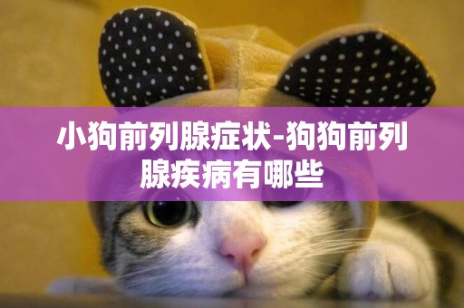 小狗前列腺癥狀-狗狗前列腺疾病有哪些