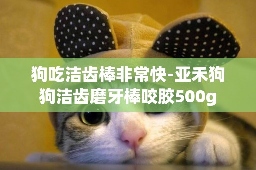 狗吃潔齒棒非常快-亞禾狗狗潔齒磨牙棒咬膠500g