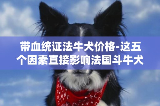 帶血統證法牛犬價格-這五個因素直接影響法國斗牛犬的價格