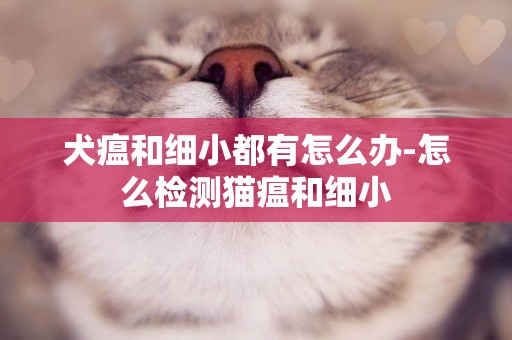 犬瘟和細小都有怎么辦-怎么檢測貓瘟和細小