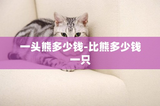 一頭熊多少錢-比熊多少錢一只