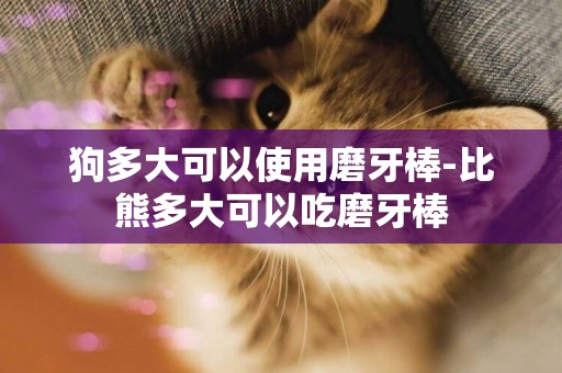 狗多大可以使用磨牙棒-比熊多大可以吃磨牙棒