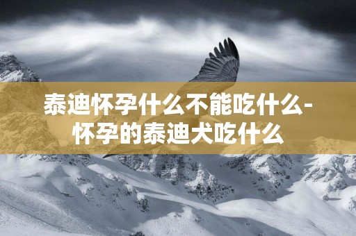 泰迪懷孕什么不能吃什么-懷孕的泰迪犬吃什么