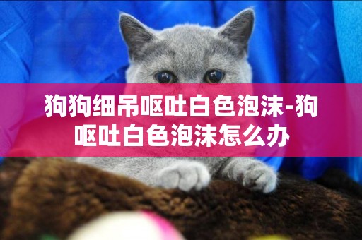 狗狗細吊嘔吐白色泡沫-狗嘔吐白色泡沫怎么辦