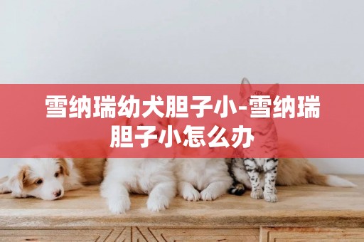 雪納瑞幼犬膽子小-雪納瑞膽子小怎么辦