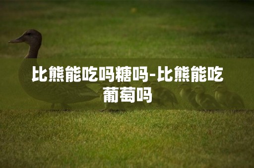 比熊能吃嗎糖嗎-比熊能吃葡萄嗎