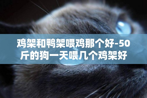 雞架和鴨架喂雞那個好-50斤的狗一天喂幾個雞架好