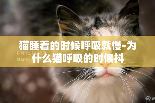 貓睡著的時候呼吸就慢-為什么貓呼吸的時候抖