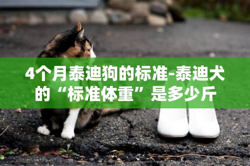 4個月泰迪狗的標準-泰迪犬的“標準體重”是多少斤