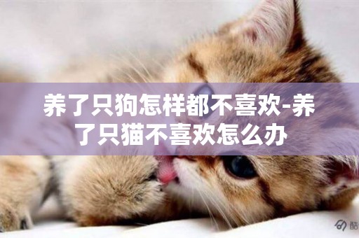養了只狗怎樣都不喜歡-養了只貓不喜歡怎么辦