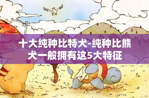 十大純種比特犬-純種比熊犬一般擁有這5大特征