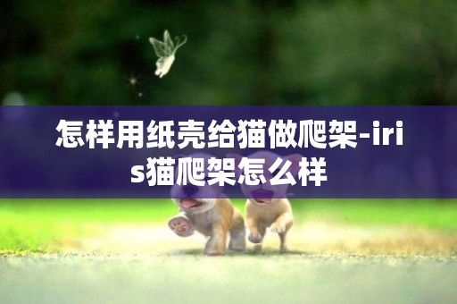 怎樣用紙殼給貓做爬架-iris貓爬架怎么樣