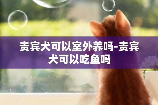 貴賓犬可以室外養嗎-貴賓犬可以吃魚嗎
