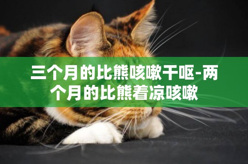三個月的比熊咳嗽干嘔-兩個月的比熊著涼咳嗽