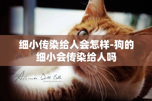 細小傳染給人會怎樣-狗的細小會傳染給人嗎