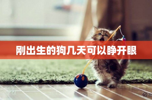 剛出生的狗幾天可以睜開眼