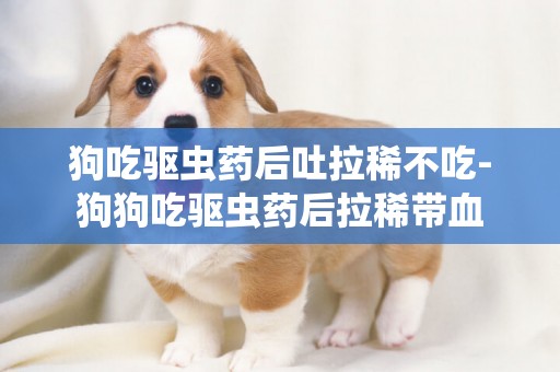 狗吃驅蟲藥后吐拉稀不吃-狗狗吃驅蟲藥后拉稀帶血