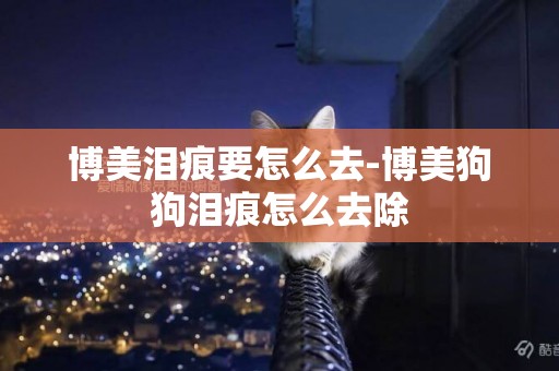 博美淚痕要怎么去-博美狗狗淚痕怎么去除