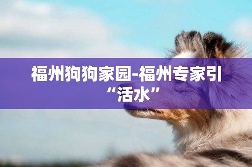 福州狗狗家園-福州專家引“活水”
