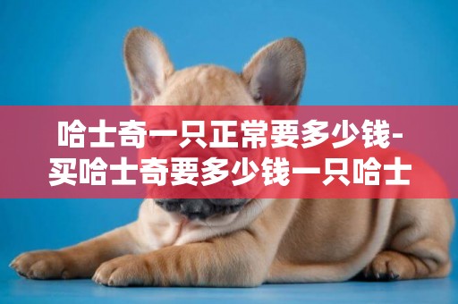 哈士奇一只正常要多少錢-買哈士奇要多少錢一只哈士奇價格盤點