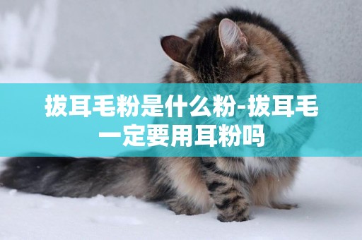 拔耳毛粉是什么粉-拔耳毛一定要用耳粉嗎