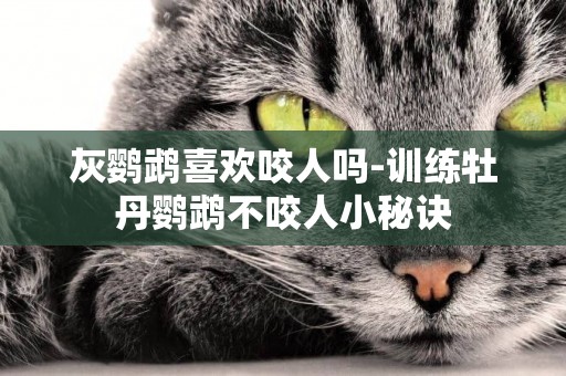 灰鸚鵡喜歡咬人嗎-訓練牡丹鸚鵡不咬人小秘訣