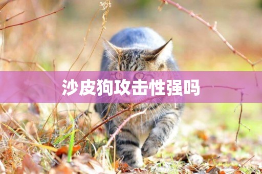 沙皮狗攻擊性強嗎